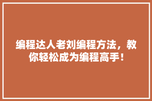 编程达人老刘编程方法，教你轻松成为编程高手！ 网站建设公司