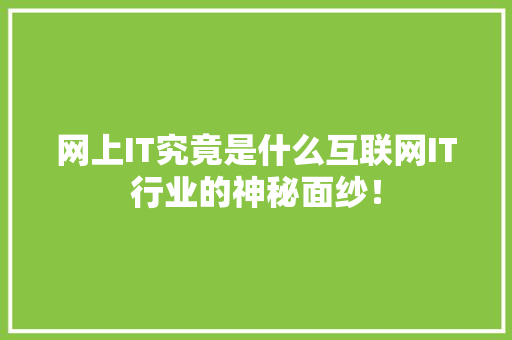 网上IT究竟是什么互联网IT行业的神秘面纱！ 网站建设公司