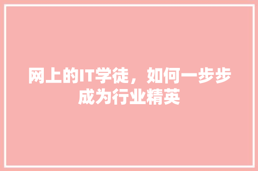 网上的IT学徒，如何一步步成为行业精英 网站建设公司