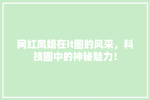 网红凤姐在it圈的风采，科技圈中的神秘魅力！ 网站建设公司