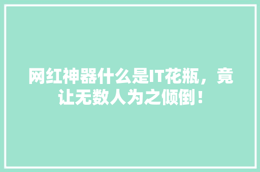 网红神器什么是IT花瓶，竟让无数人为之倾倒！ 搜狗SEO
