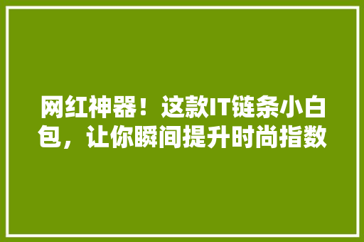 网红神器！这款IT链条小白包，让你瞬间提升时尚指数 搜狗SEO