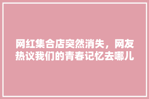 网红集合店突然消失，网友热议我们的青春记忆去哪儿了 网站建设公司