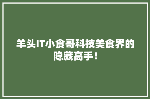 羊头IT小食哥科技美食界的隐藏高手！ 百度SEO