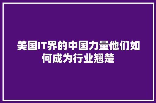 美国IT界的中国力量他们如何成为行业翘楚 必应SEO