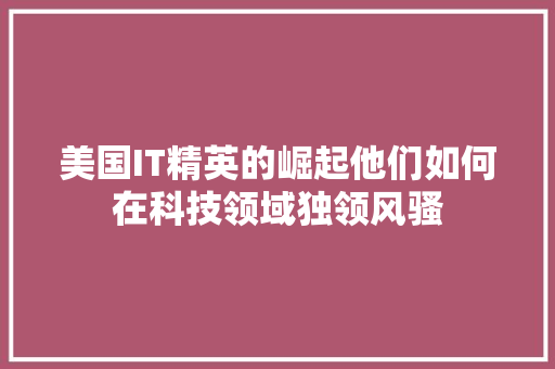 美国IT精英的崛起他们如何在科技领域独领风骚 搜狗SEO