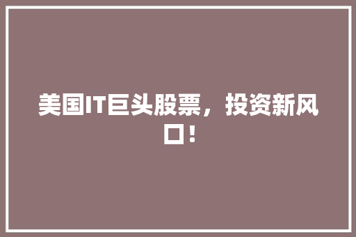 美国IT巨头股票，投资新风口！ 神马SEO