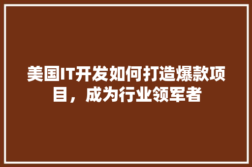 美国IT开发如何打造爆款项目，成为行业领军者 必应SEO