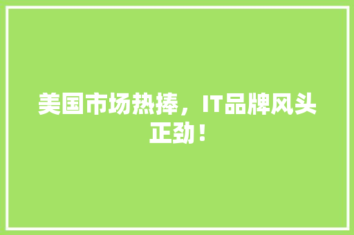 美国市场热捧，IT品牌风头正劲！ 必应SEO
