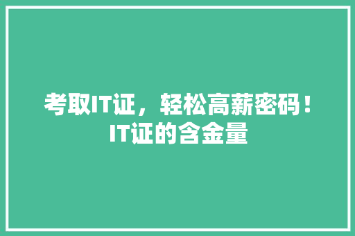 考取IT证，轻松高薪密码！IT证的含金量 百度SEO