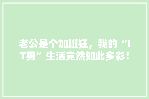 老公是个加班狂，我的“IT男”生活竟然如此多彩！ SEO关键词