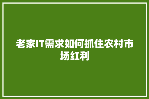 老家IT需求如何抓住农村市场红利 SEO关键词