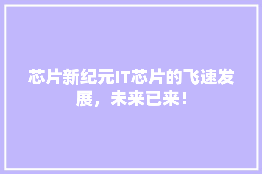 芯片新纪元IT芯片的飞速发展，未来已来！ SEO关键词