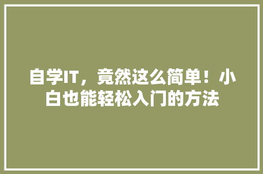 自学IT，竟然这么简单！小白也能轻松入门的方法 必应SEO