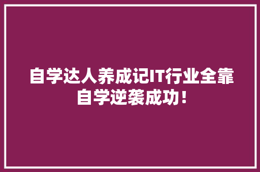 自学达人养成记IT行业全靠自学逆袭成功！ 百度SEO