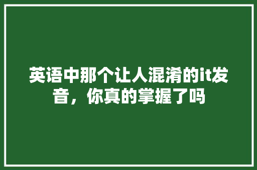 英语中那个让人混淆的it发音，你真的掌握了吗 必应SEO