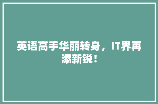 英语高手华丽转身，IT界再添新锐！ 百度SEO