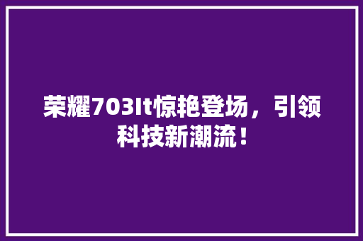 荣耀703It惊艳登场，引领科技新潮流！ 百度SEO