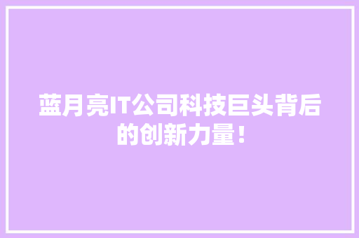 蓝月亮IT公司科技巨头背后的创新力量！ SEO关键词
