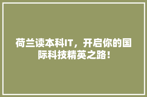 荷兰读本科IT，开启你的国际科技精英之路！ 神马SEO
