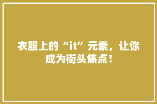 衣服上的“it”元素，让你成为街头焦点！ SEO关键词
