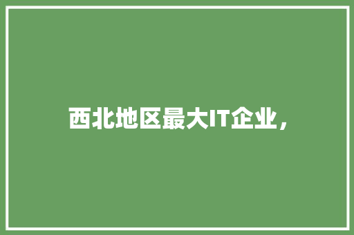 西北地区最大IT企业， 神马SEO
