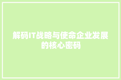 解码IT战略与使命企业发展的核心密码 必应SEO