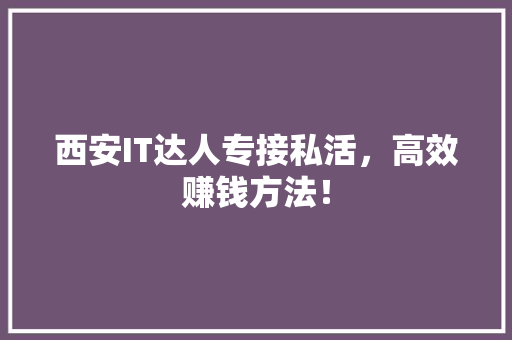 西安IT达人专接私活，高效赚钱方法！ 必应SEO