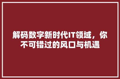 解码数字新时代IT领域，你不可错过的风口与机遇 必应SEO