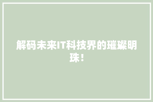 解码未来IT科技界的璀璨明珠！ 网站建设公司