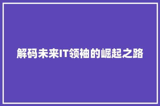 解码未来IT领袖的崛起之路 神马SEO