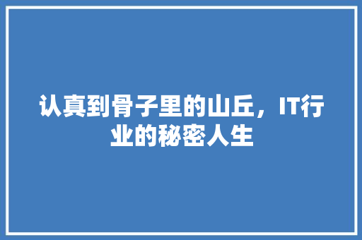 认真到骨子里的山丘，IT行业的秘密人生 百度SEO