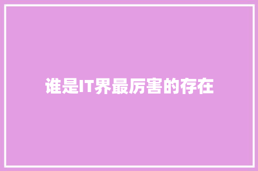 谁是IT界最厉害的存在 SEO关键词