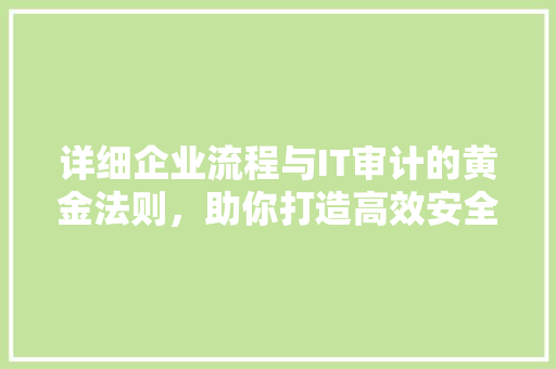 详细企业流程与IT审计的黄金法则，助你打造高效安全体系