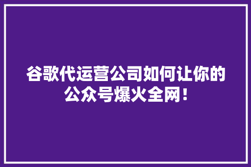 谷歌代运营公司如何让你的公众号爆火全网！ 必应SEO