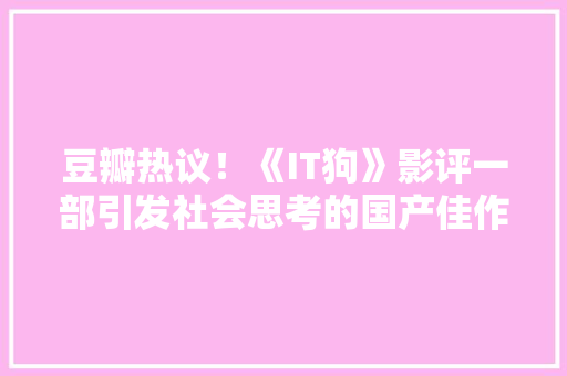 豆瓣热议！《IT狗》影评一部引发社会思考的国产佳作 网站建设公司