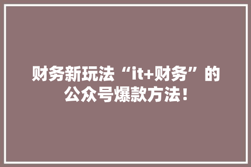 财务新玩法“it+财务”的公众号爆款方法！ 必应SEO