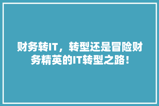 财务转IT，转型还是冒险财务精英的IT转型之路！ 神马SEO