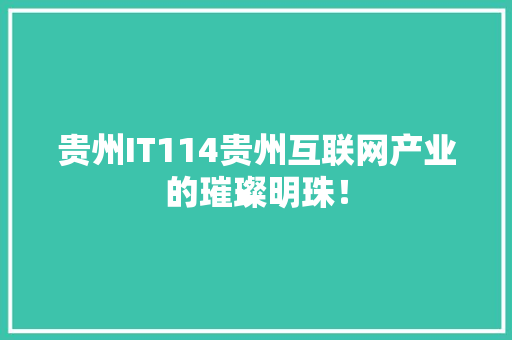 贵州IT114贵州互联网产业的璀璨明珠！ 神马SEO