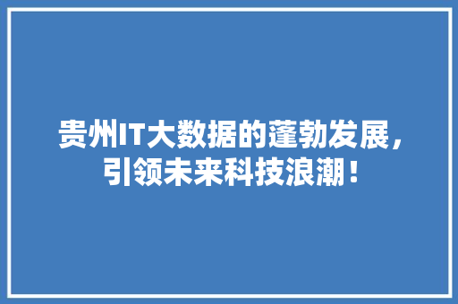 贵州IT大数据的蓬勃发展，引领未来科技浪潮！ 网站建设公司