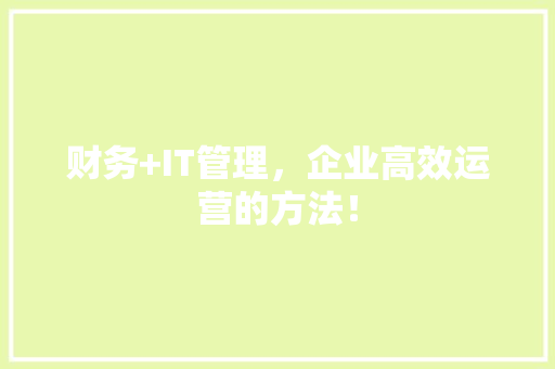 财务+IT管理，企业高效运营的方法！ SEO关键词