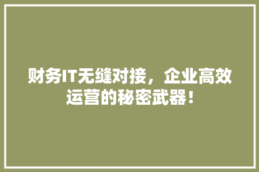财务IT无缝对接，企业高效运营的秘密武器！ 百度SEO