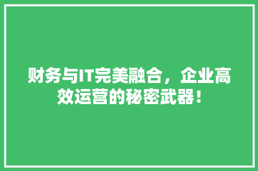 财务与IT完美融合，企业高效运营的秘密武器！ SEO关键词