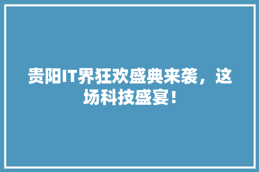 贵阳IT界狂欢盛典来袭，这场科技盛宴！ 网站建设公司