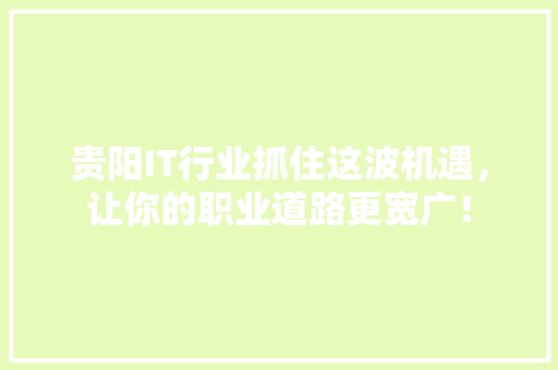 贵阳IT行业抓住这波机遇，让你的职业道路更宽广！ SEO关键词