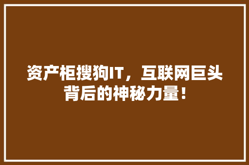资产柜搜狗IT，互联网巨头背后的神秘力量！ 网站建设公司