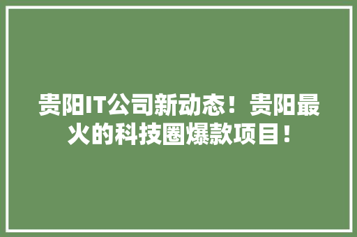 贵阳IT公司新动态！贵阳最火的科技圈爆款项目！ 神马SEO