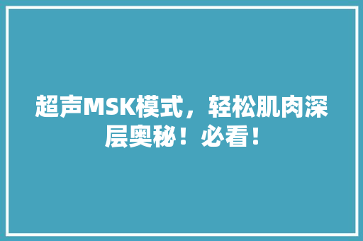超声MSK模式，轻松肌肉深层奥秘！必看！ 网站建设公司