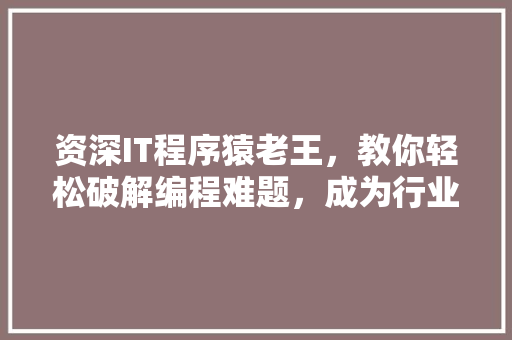 资深IT程序猿老王，教你轻松破解编程难题，成为行业佼佼者！ 搜狗SEO