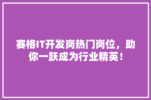 赛格IT开发岗热门岗位，助你一跃成为行业精英！
